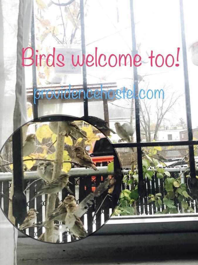 Providence Hostel & Guest House Eksteriør billede